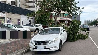 巴威來襲！台中路樹砸車 3人觀浪遭警勸離