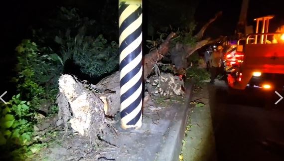 台電說明,1台中南屯區永春南路一帶高壓線斷線事故,已加派人力搶修復電。(圖/翻攝畫面)