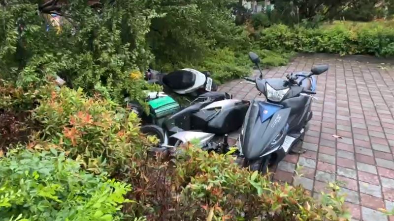 樹倒至少造成7台機車受波及。(圖/翻攝畫面)
