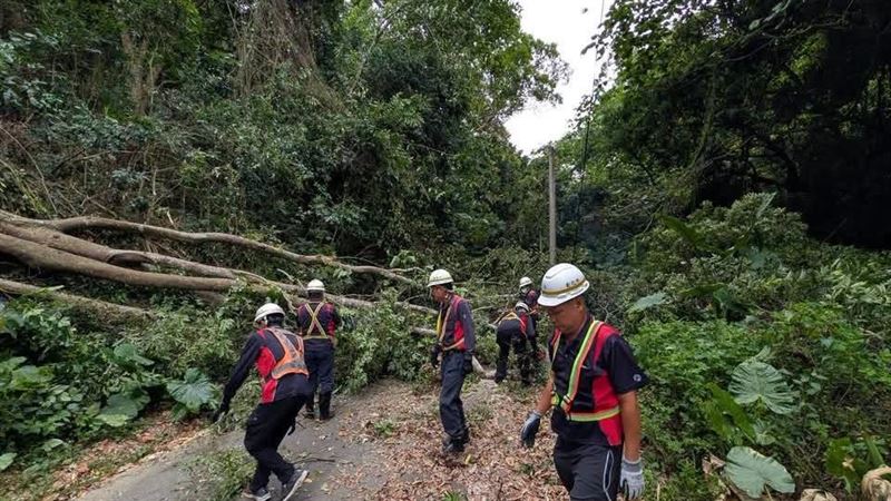 中颱「巴威」襲台!彰化縣截至11日上午8點,共發生31件路樹倒塌、全縣有8713戶停電。(圖/翻攝彰化市長林世賢臉書)