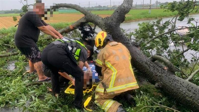 颱風巴威襲台!今(11)日清晨,雲林縣驚傳路樹倒塌砸中路過女騎士。(圖/翻攝畫面)