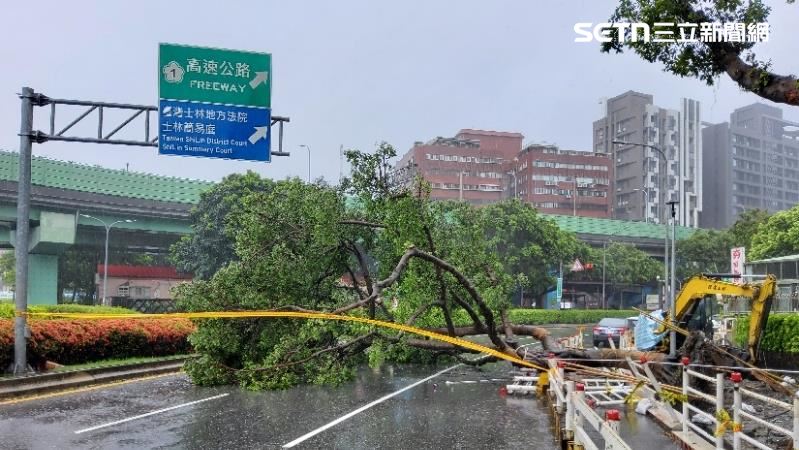 台北市士林區中正路發生路樹倒塌意外。(圖/翻攝畫面)