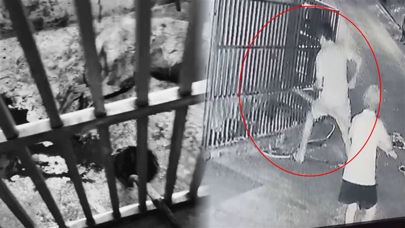屏東縣崁頂鄉一間神壇飼養的愛犬,遭人用「鐵管綁刀」殘忍虐殺死亡。(圖/民眾提供)