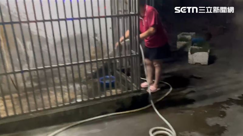 飼主清理鐵籠內的血漬。(圖/民眾提供)