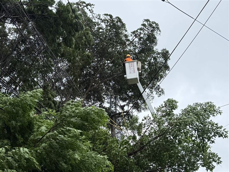 台中地區有2354戶停電,台電人員積極搶修中。(圖/翻攝畫面)