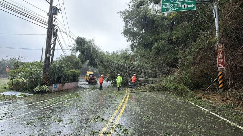 苗栗台3線132公里大湖鄉大寮村路段路樹倒塌道路中斷。(圖/翻攝畫面)