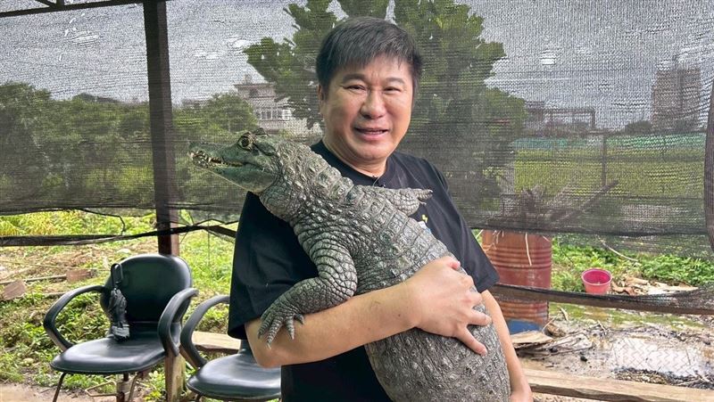 胡瓜遭7隻巨鱷包圍逼到角落 驚人畫面曝