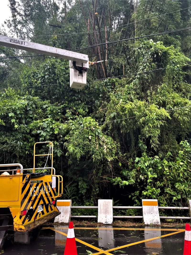 颱風巴威來襲，台灣電力公司台北南區營業處11日表示，累計曾停電戶數計2104戶，截至下午1時30分止，1961戶恢復供電，還有143戶停電搶修中，台電指出，主要因為大型竹子壓線及路樹倒塌