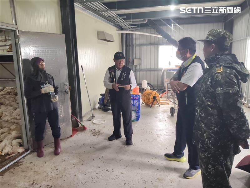 出貨前夕悲劇!台南養雞場設備異常跳電,4.6萬隻肉雞「活活悶死」慘賠500萬。(圖/下營區公所提供)