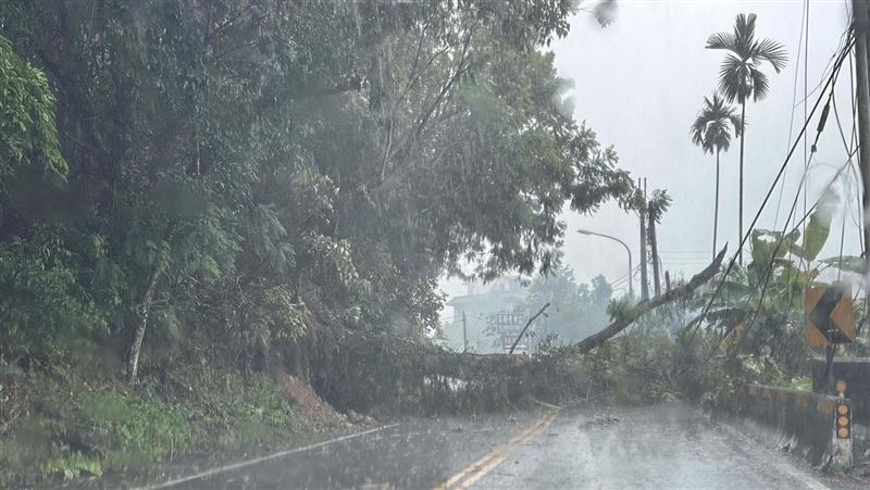 巴威釀倒樹阻路斷電　南投1406戶停電待修