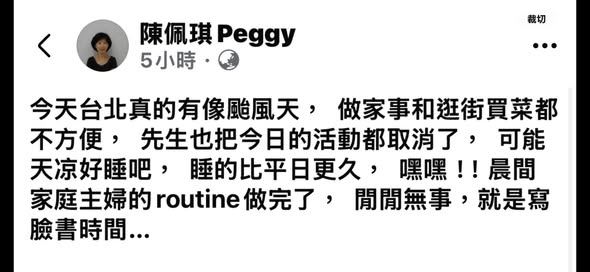 民眾黨主席柯文哲因行程取消在家休息,其妻陳佩琪在臉書分享居家生活,意外引發爭議。(圖/翻攝自「陳佩琪」臉書)