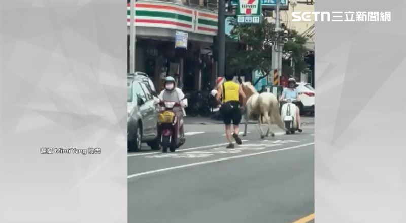 小馬在馬路上逆向狂奔,熱心民眾幫忙追回。(圖/翻攝自Mimi Yang臉書)