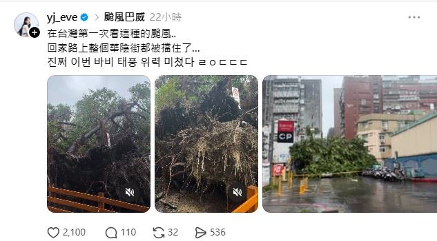 李瑩珠發文表示:「在台灣第一次看這種的颱風,回家路上整個華陰街都被擋住了,這次颱風的威力真的太驚人了。」(圖/翻攝自李瑩珠Threads)