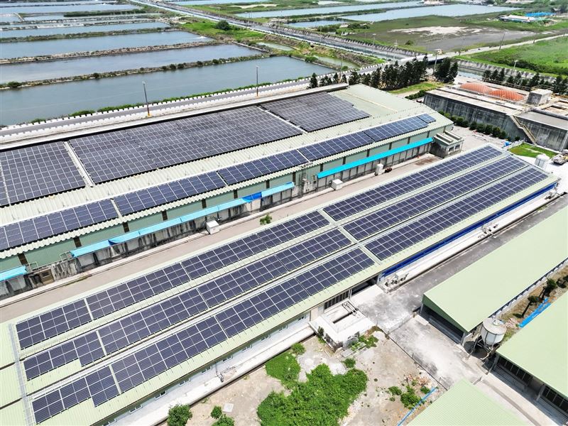 漢寶種豬場太陽光電。(圖/聚恆科技)