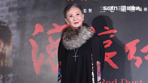 徐克前妻施南生逝世！享壽75歲