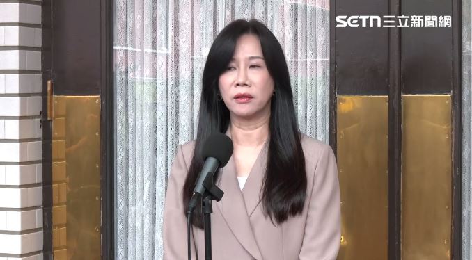 國民黨立委萬美玲立院議場前受訪（圖／翻攝畫面）