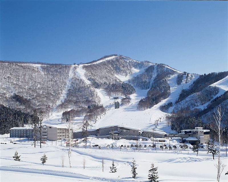 雄獅2025冬季滑雪參團人數年增3成,推薦「TANGRAM斑尾滑雪5日」。(圖/飯店旅宿業者提供)