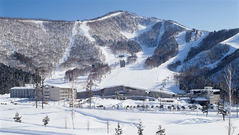 夏季旅展要來了!雄獅推滑雪郵輪雙主題
