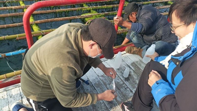 台南抽檢未上市水產 城西水產、水質合格