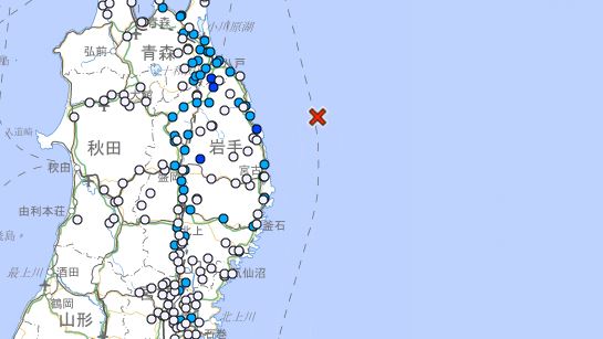 日本岩手縣外海發生規模4.8地震。(圖/翻攝自日本氣象廳)