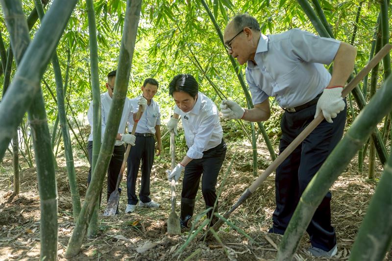 總統賴清德參訪泰安市民農園認養中心,親自體驗挖竹筍(圖/總統府提供)