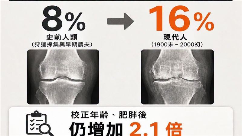 變老變胖=膝蓋退化?真正兇手曝:大家都中