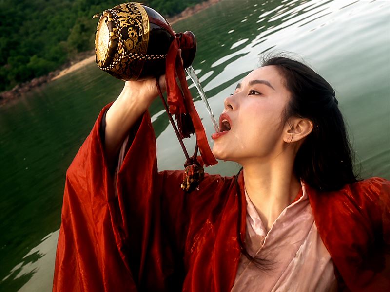 林青霞痛失摯友施南生!施南生在林青霞著作《鏡前鏡後》曝光《東方不敗》的秘密與一間「沒有一個字的公寓」的故事,神奇開啟2人長達40年的友情(圖/翻攝自豆瓣電影)