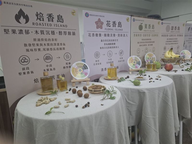 臺灣苦茶油依製程及風味分為清香型及焙香型2大類,並可細分成青香、果香、甜香、花香、焙香5種調性。(圖/記者周佩怡攝影)