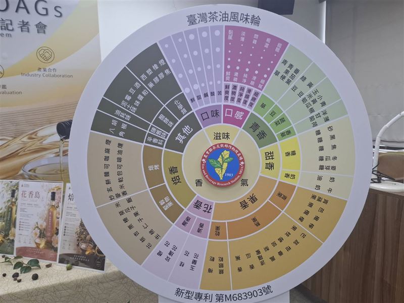 農業部首推臺灣茶油風味輪，將台灣茶油細分為青香、果香、甜香、花香、焙香5大調性。（圖／記者周佩怡攝影）