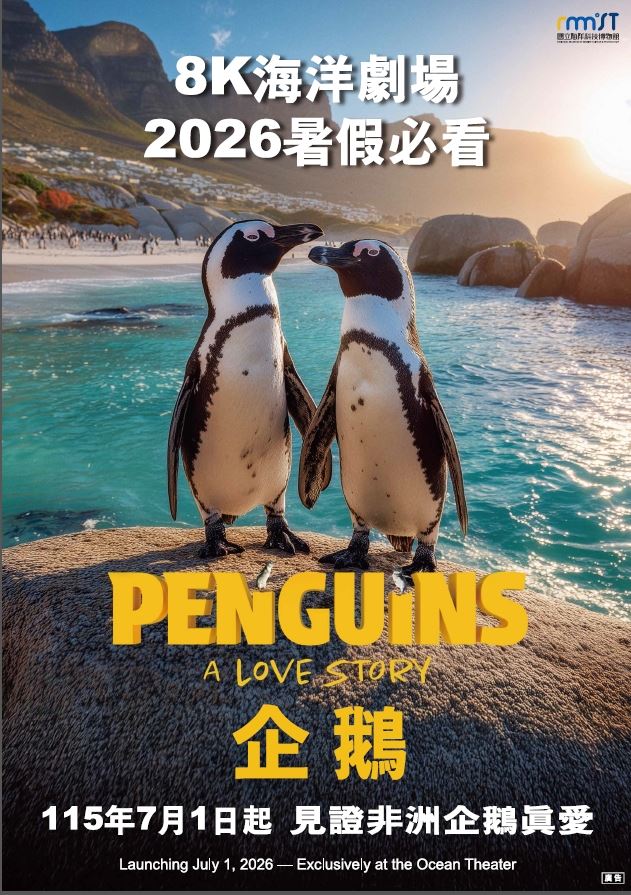 黑腳企鵝海洋科技博物館海洋劇場暑假熱映中。(圖/台北市立動物園提供)