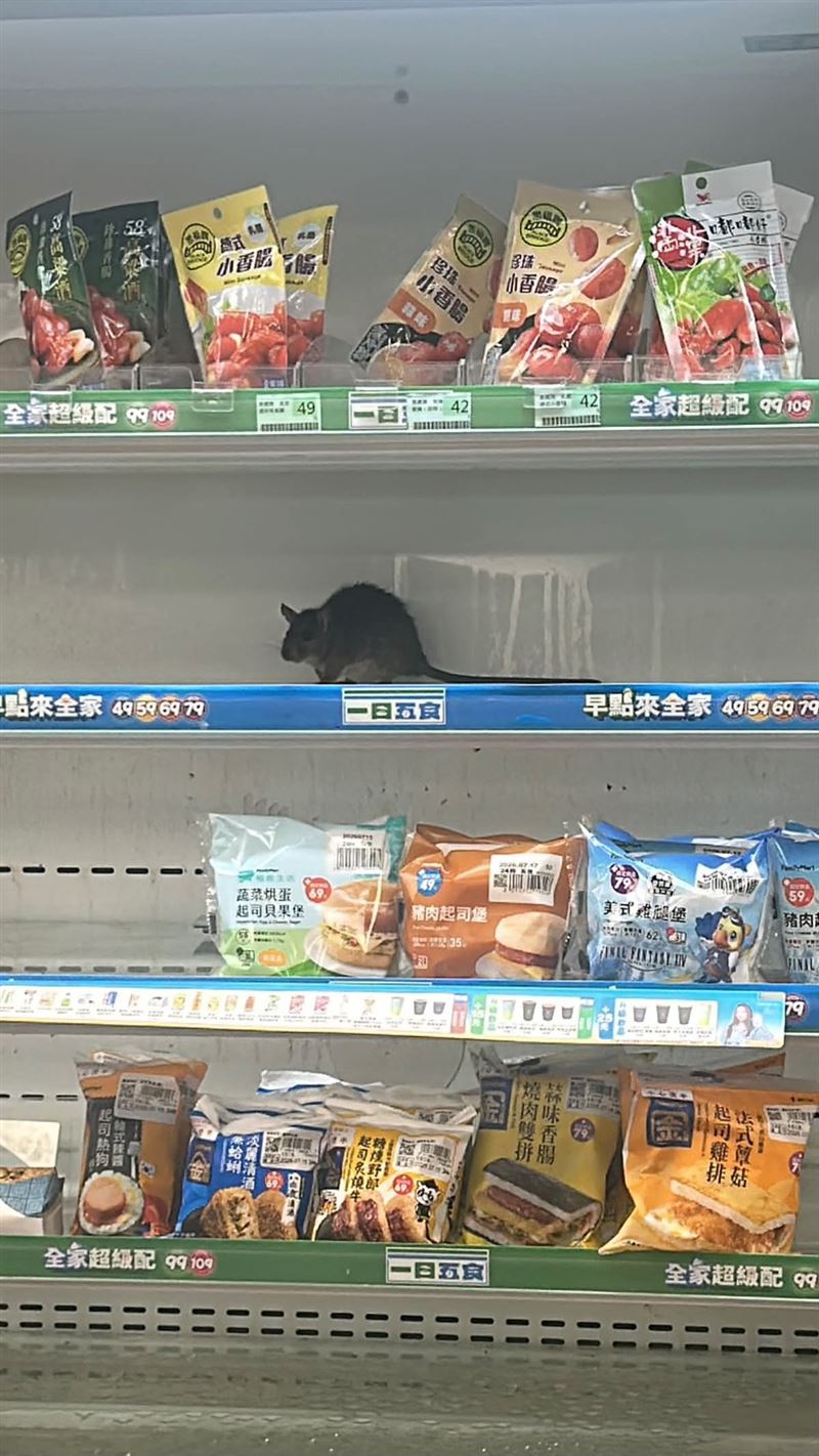 民眾到超商覓食驚見「肥鼠橫行」。(圖/Threads@isaac0524 提供)