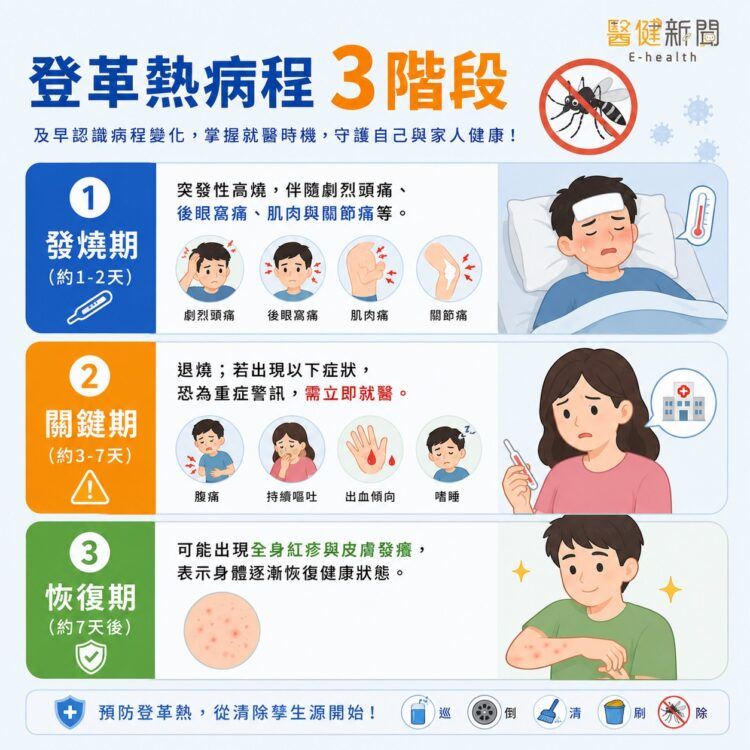 林友菁醫師指出，登革熱病程大致可分為三階段，若出現嚴重腹痛、持續嘔吐、牙齦或鼻腔出血、吐血、黑便或嗜睡，代表病情可能惡化為重症（如登革出血熱），應盡快就醫治療。（圖／醫健新聞網提供）