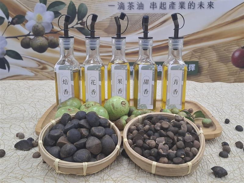 臺灣苦茶油依製程及風味分為清香型及焙香型2大類,並可細分成青香、果香、甜香、花香、焙香5種調性。(圖/記者周佩怡攝影)