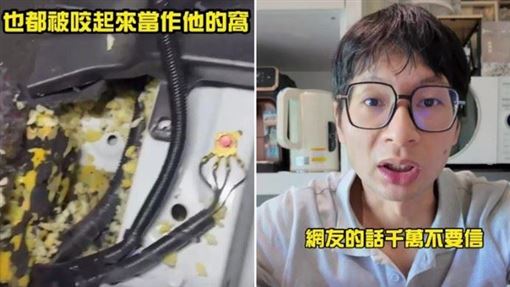 老鼠闖進逸祥愛車　網友狂出招他崩潰