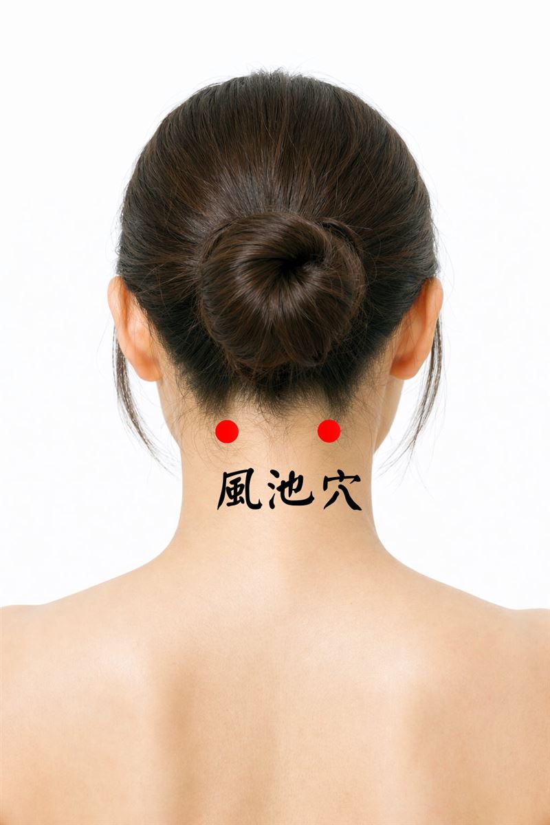 風池穴位置。（圖／Dr.Nice中醫診所提供）