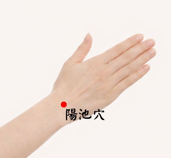 陽池穴位置。（圖／Dr.Nice中醫診所提供）