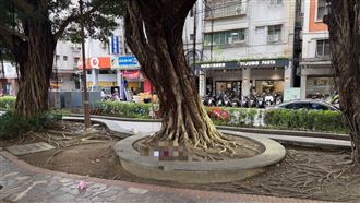 新／新北男公園內遭刀刺胸　警追犯嫌中