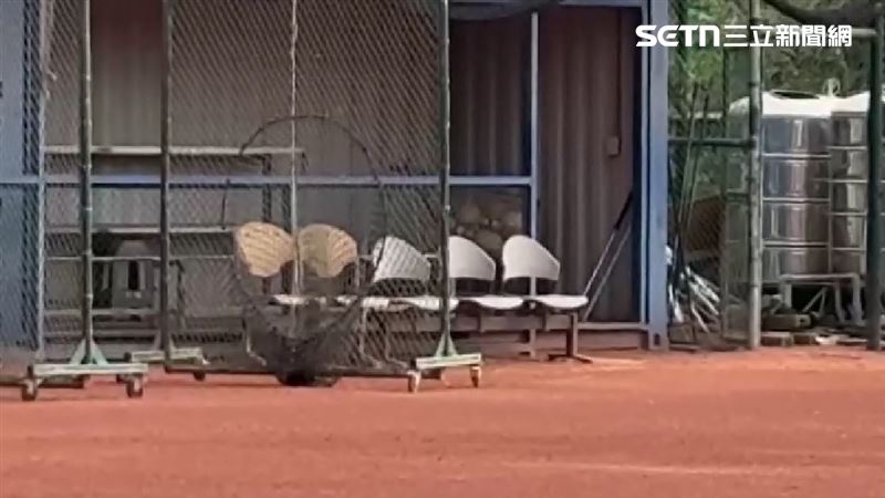 獨/147名不適任教練黑名單 運動部全公告