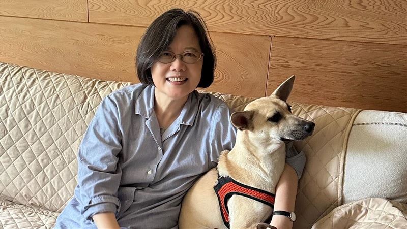 世足冠軍賽倒數！蔡英文曝愛犬押寶這一隊