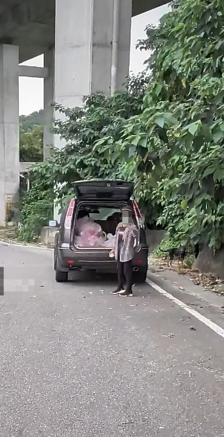 附近居民指控一名婦人長期在139縣道餵養流浪狗，造成犬隻群聚、環境髒亂。（圖／翻攝自花壇人俱樂部2臉書）