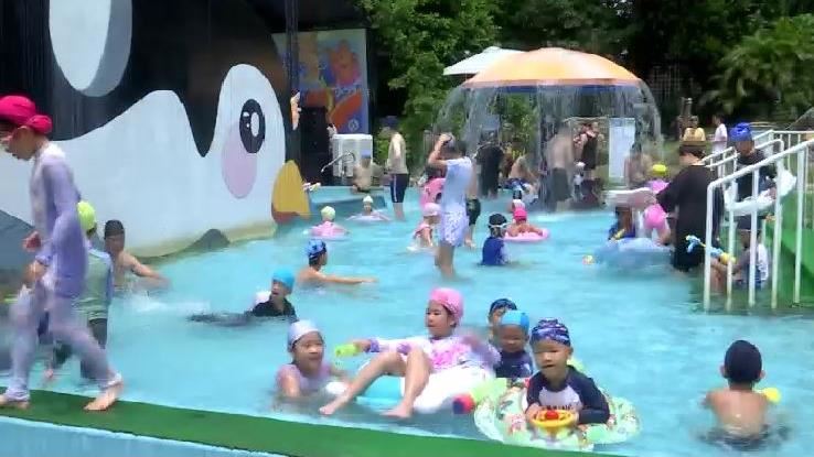 玩水聽電音再吃冰!動物園攜手鹽山拚觀光