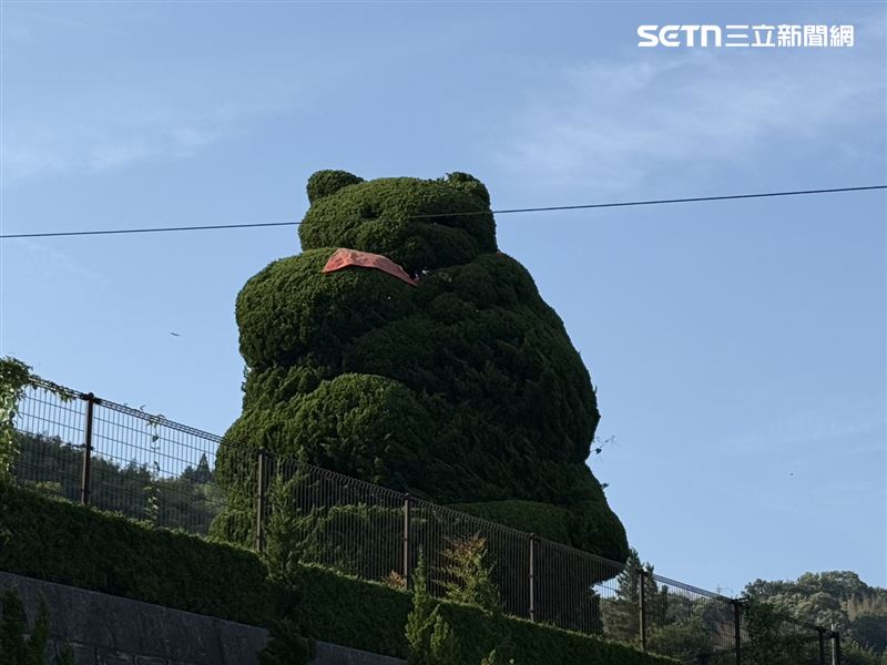 招財貓美術館遠遠就能看到招財貓造型的樹。(圖/記者李育道攝影)