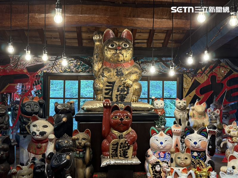 金色招財貓,身長達120公分,與一樓兩隻大型招財貓都已在館內坐鎮32年。(圖/記者李育道攝影)