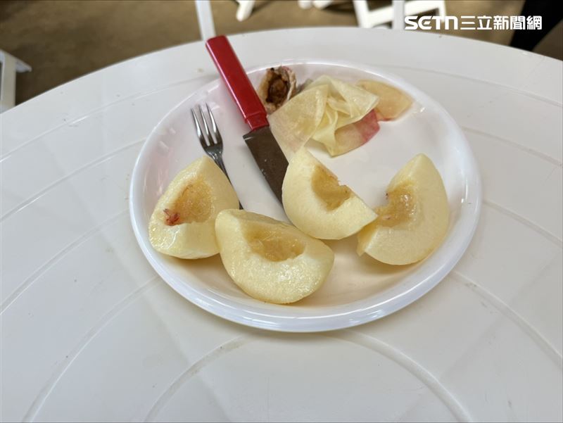 採摘完白桃後,還可以在現場吃一顆甜度達12度的白桃。(圖/記者李育道攝影)