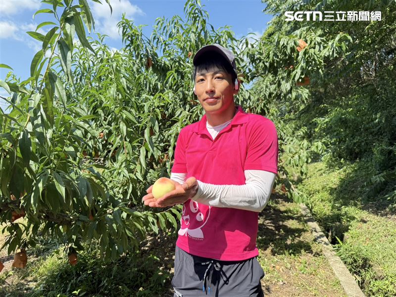 桃茂實苑果園管理者友實竜也今年35歲未婚,他分享台灣旅客占外國客整體7成,且與其他國家旅客來說,跟台灣旅客相處起來最舒服。(圖/記者李育道攝影)