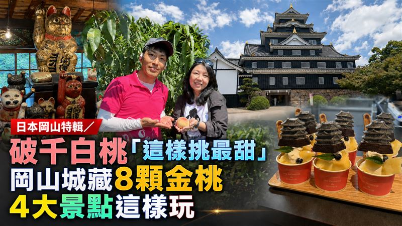 破千白桃「這樣挑最甜」 日本岡山這樣玩