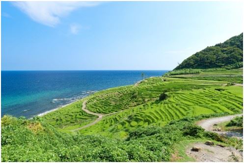 石川縣能登白米千枚田梯田景觀,展現農業地景與海岸線共存之美