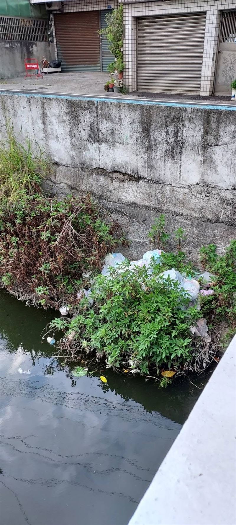 里長埋伏在現場兩個多小時,終於抓到亂丟垃圾的現行犯,要求他把20多包垃圾撿上來。(圖/街尾里長許勝嘉提供)
