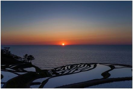 能登沿海地形與潮間帶生態受地震影響,海岸生態復育成為重建重點之一