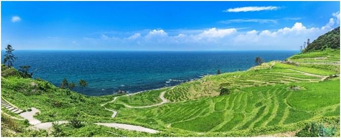 森林、梯田與農地交織而成的能登「里山」地景
